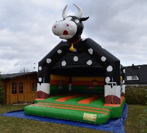 Kuh Elsa XXL