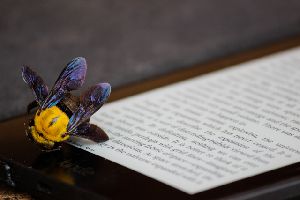 Textagentur für hochwertige Texte – zielgerichtet und individuell