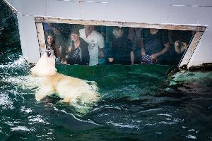 Fotoexpedition im Erlebnis-Zoo Hannover