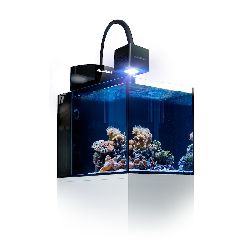 Meerwasseraquarium