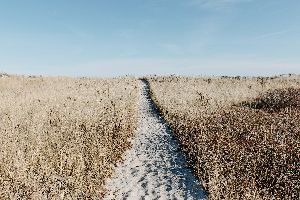 Online Life Coaching
