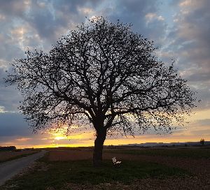 Online Workshop Achtsamkeit & Meditation