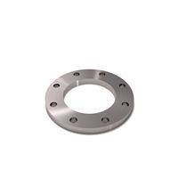 Glatte Flansche aus Stahl P250GH S235