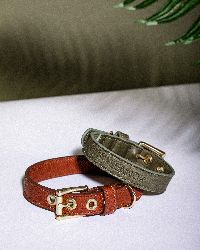 Hundehalsband Leder