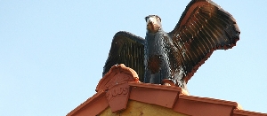 Adler