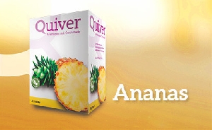 Quiver Diätshake Ananas