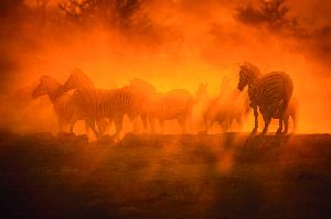 20 Tage Selbstfahrerreise nach Namibia – Simbabwe und Botswana