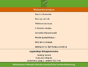 Bio-SEO Webseitenanalyse