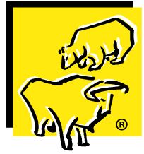 Unternehmensberatung Kapitalmarkt