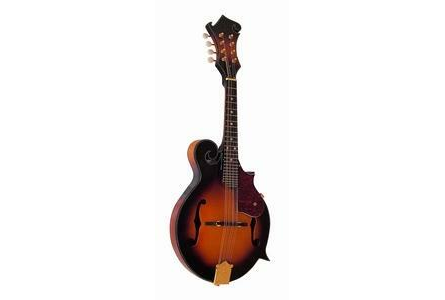 Firmenanzeige Musik Schnerr MSA