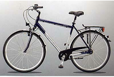 Firmenanzeige Fahrradhaus Griesmann