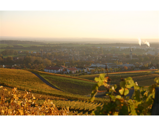 Firmenanzeige Forstverwaltung
