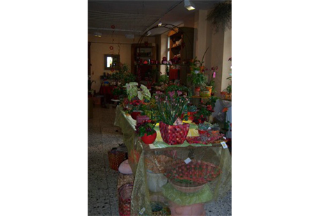 Firmenanzeige Blumen Pusteblume