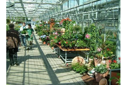 Firmenanzeige Hausner Gärtnerei