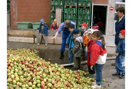 Firmenanzeige Schmitt Michael