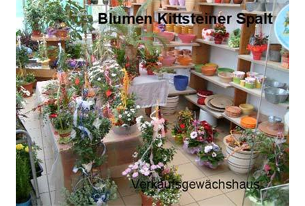 Firmenanzeige Kittsteiner