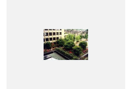 Firmenanzeige Flessler Landschaftsbau