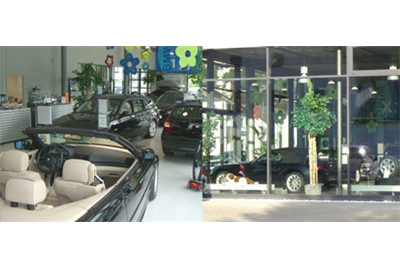 Firmenanzeige Autohaus Praller