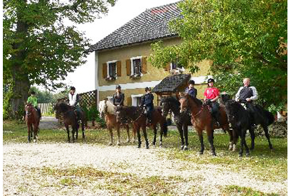 Firmenanzeige Reiterhof Zimmermann H.