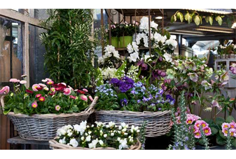 Firmenanzeige Blumen Bender