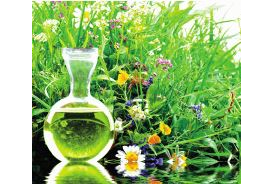 Firmenanzeige Plaza Peter Dr. med.