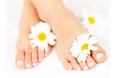 Firmenanzeige Podologie Zschocke