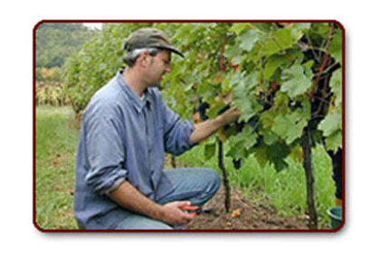 Firmenanzeige Weinhandlung bianco-e-rosso