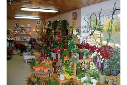 Firmenanzeige Blumenzauber Sandra Möhring