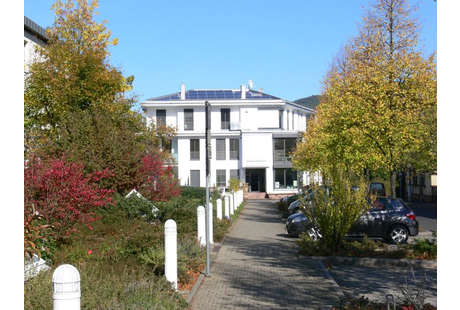 Firmenanzeige Westarp M u. M Dres.med.