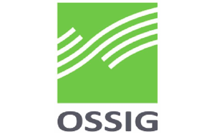 Firmenanzeige Steuerberater Ossig