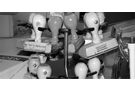 Firmenanzeige Krempl Alexandra