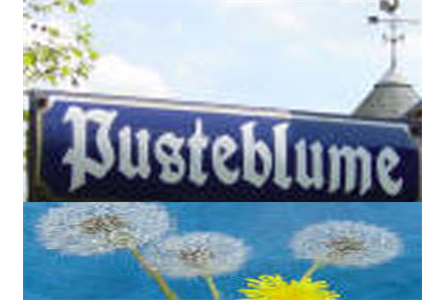 Firmenanzeige Pusteblume Köhler