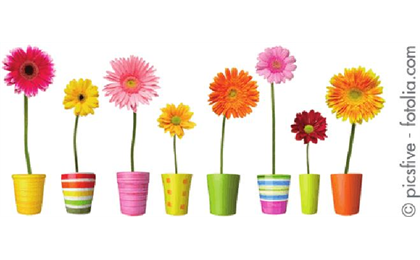 Firmenanzeige Blumen Smobel''s Blümchenladen