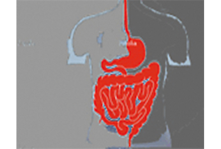 Firmenanzeige Ullrich Gastroenterologie Ullrich Jutta Dres.med.