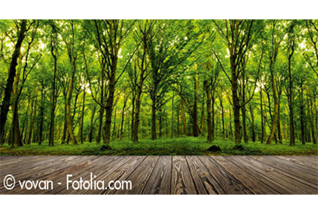 Firmenanzeige Parkett Vollmuth Bruno