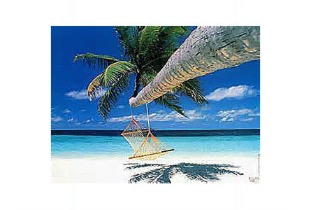 Firmenanzeige Schmetterling Reise - Eck