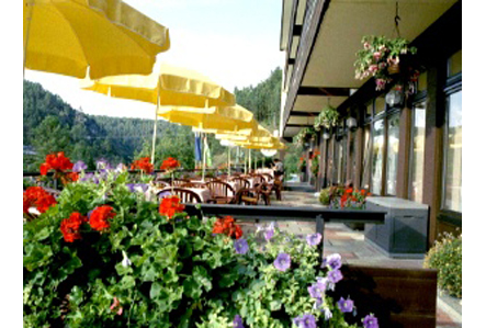 Firmenanzeige Waldpension Rabeneck