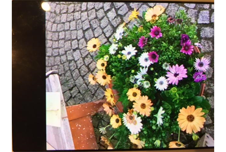 Firmenanzeige Blumenkorb Kraus