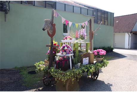Firmenanzeige Blumen Schmittinger