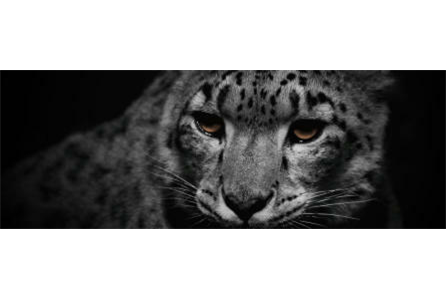 Firmenanzeige Werbeagentur Weidemann