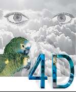 Logo - 4D Anja Weber und Peter Gerken GbR