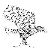 Adler-Apotheke in der March - Logo der Adler-Apotheke in der March