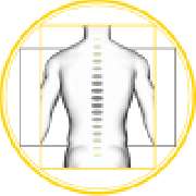 Amerikanische Chiropraktik Biller - Logo - Chiropraktik I Chiropraktik Biller München I München