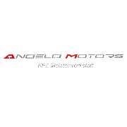Angelo Vicari Angelo Motors - LOGO