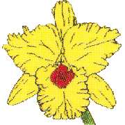 Apotheke Auf der Horst - Logo der Apotheke Auf der Horst