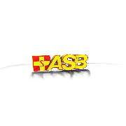 ASB Pflege im Erzgebirge gGmbH - LOGO