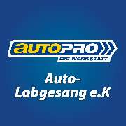 Auto-Lobgesang e.K - 9