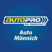Auto Mönnich Inh. Uwe Mönnich - 7