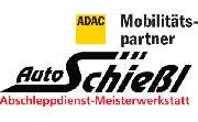 Auto Schießl - LOGO