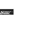 Autolackiererei Seidat GmbH & Co KG - LOGO